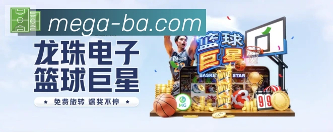 未来规划